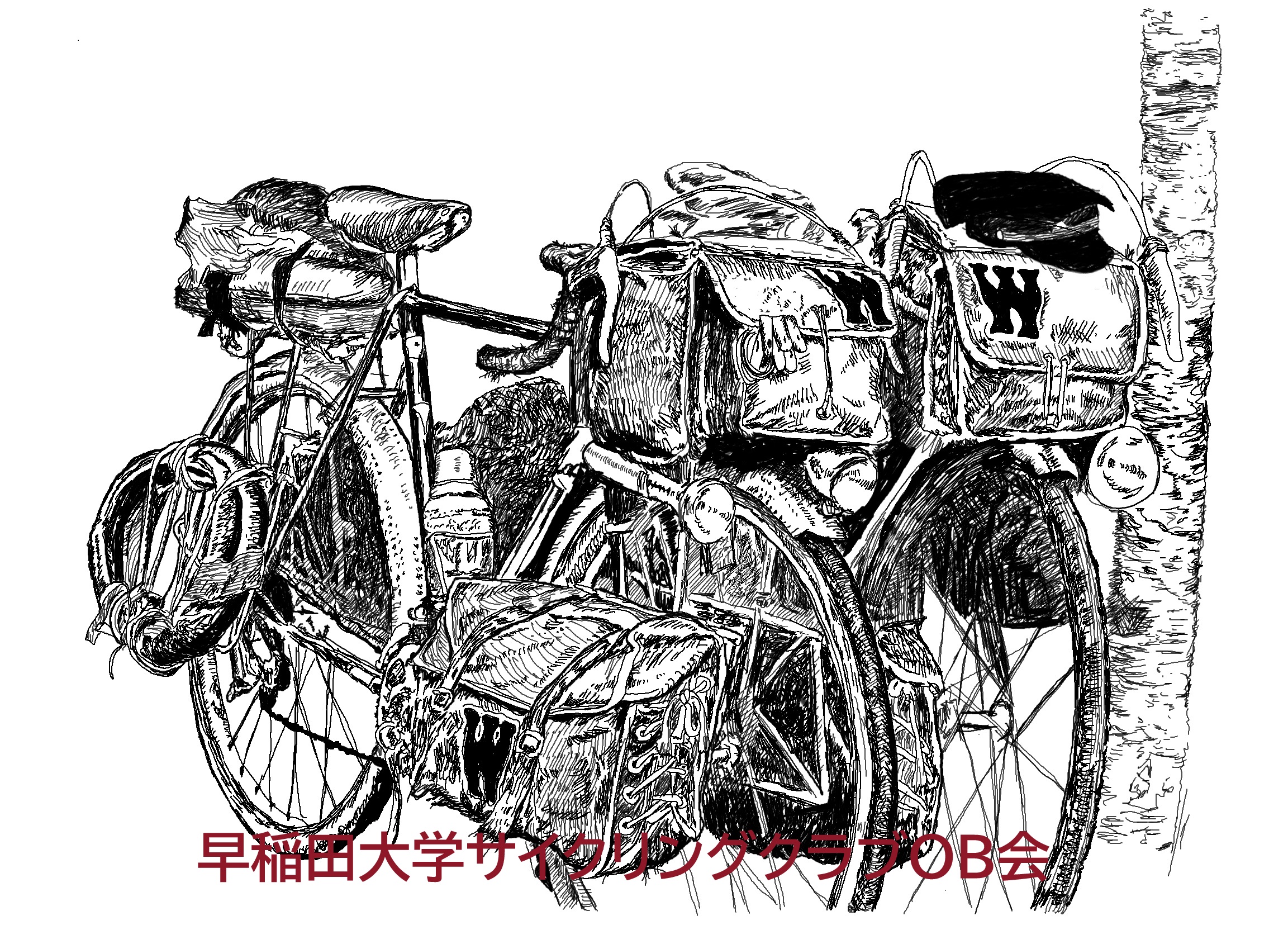 早稲田大学サイクリングクラブOB会